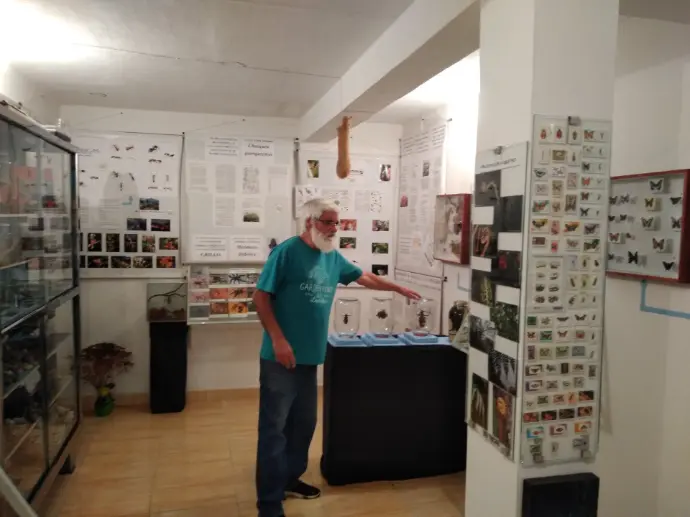 Museo entomológico Niquitao Museo entomológico Niquitao